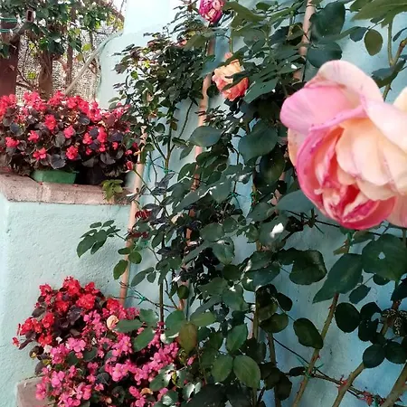 Casa Alice Wi-fi Giardino Tranquillita Famiglie *