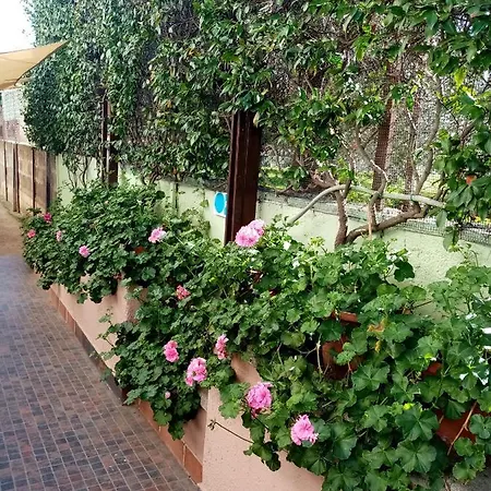 Holiday home Casa Alice Wi-fi Giardino Tranquillita Famiglie Bolsena